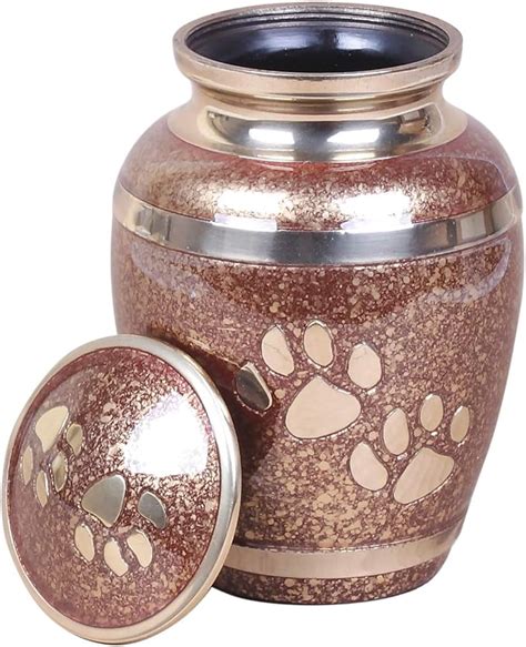 99Count) Save 5 with coupon. . Pet urns amazon